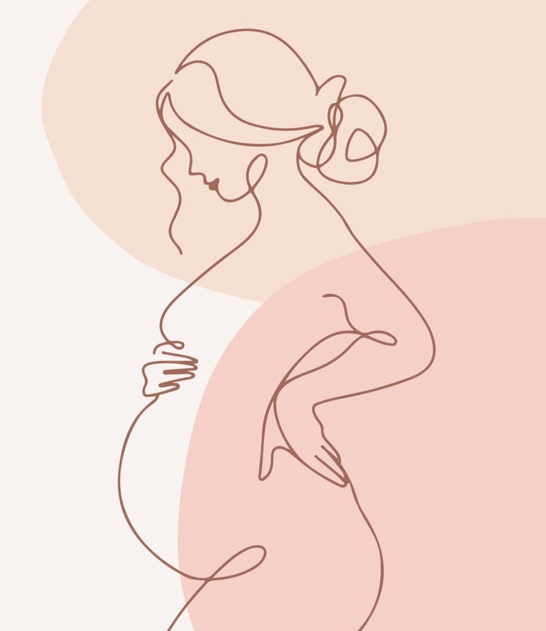 Line art of a pregnant woman cradling her belly in warm tones